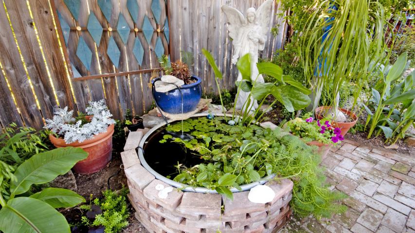 Hancock Pool House - Garden