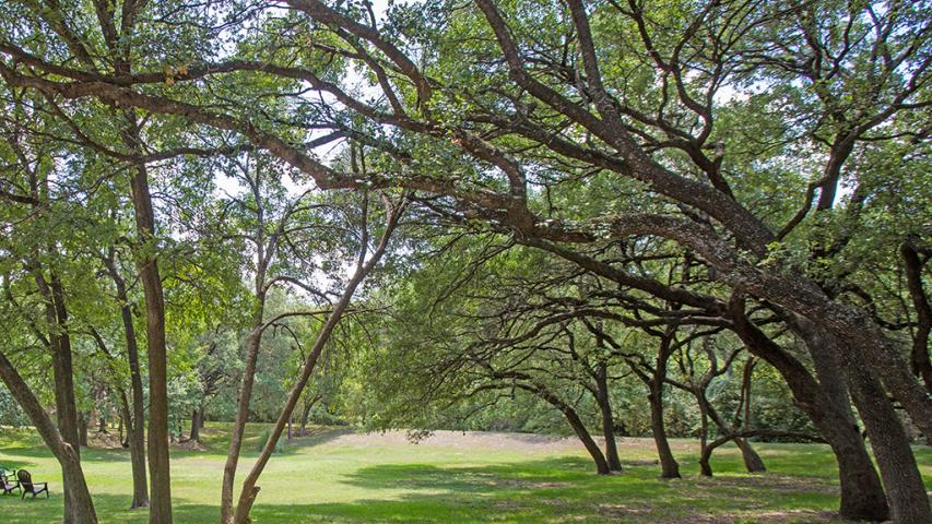 Creek Ledge Central Austin Nation Holdings Real Estate